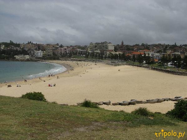 Plaża Coogee niedaleko Sydney w Australii