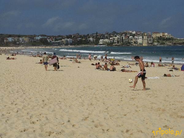 Plaża Bondi, niedaleko Sydney w Australii
