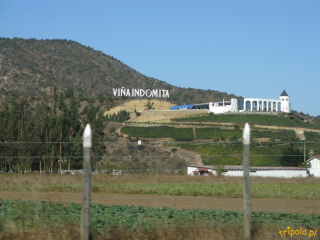 Dolina Casablanca w Chile słynie z produkcji wina
