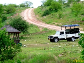 Safari w Tanzanii - samochód terenowy