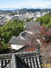 Japonia - zamek Himeji-jo