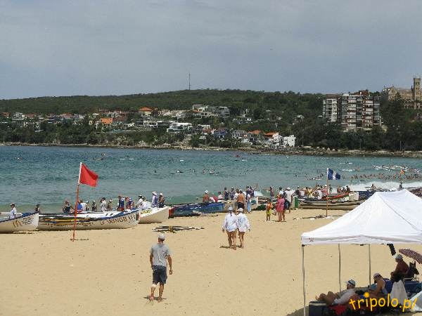 Główna plaża w Manly, Australia