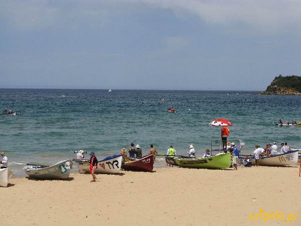 Główna plaża w Manly, Australia