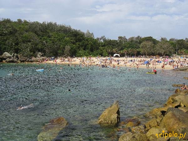 Mniejsza plaża, za skałami w Manly, Australia