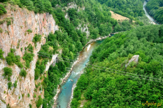 Czarnogóra, rzeka Tara widziana z mostu