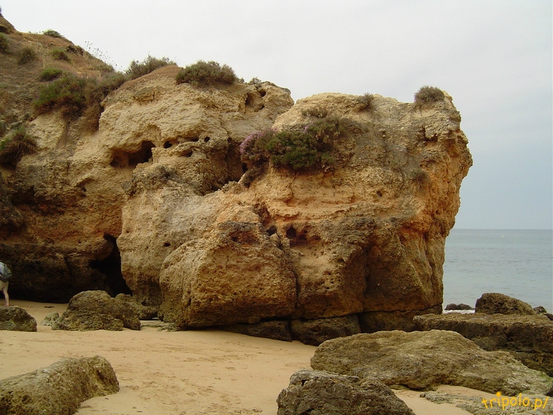 Portugalia, Algarve - plaża w okolicy Albufeira