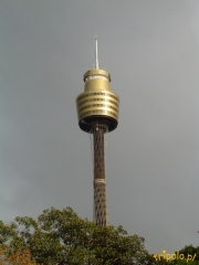 Wieża w centrum Sydney - Sydney Tower